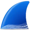 Wireshark